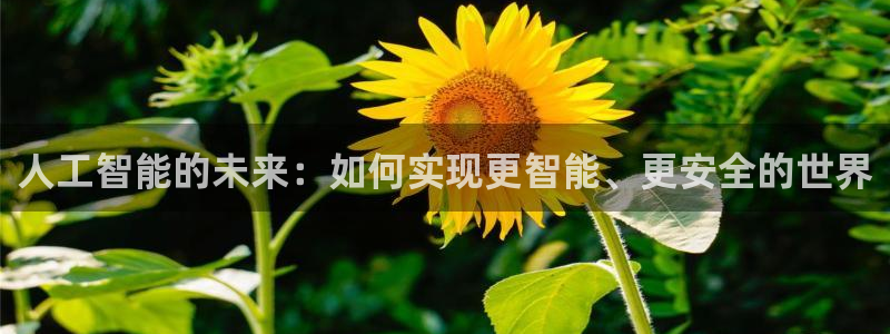 人工智能的未来：如何实现更智能、更安全的世界