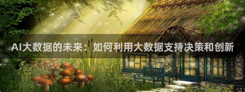 AI大数据的未来：如何利用大数据支持决策和创新