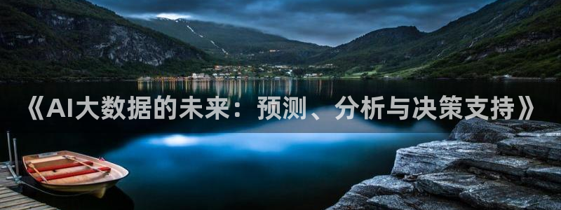 《AI大数据的未来：预测、分析与决策支持》