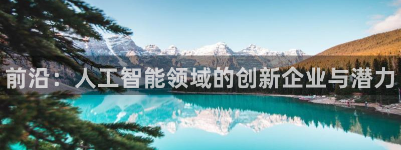 前沿：人工智能领域的创新企业与潜力