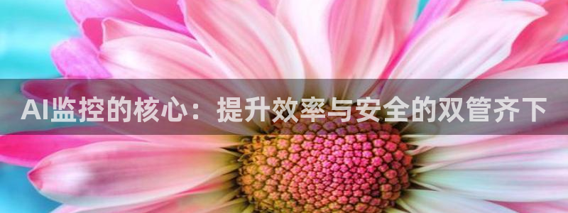 AI监控的核心：提升效率与安全的双管齐下