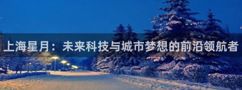 上海星月：未来科技与城市梦想的前沿领航者