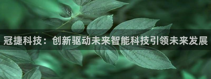 冠捷科技：创新驱动未来智能科技引领未来发展