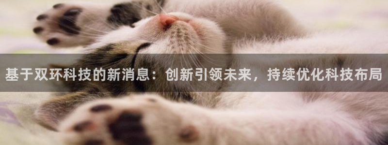 基于双环科技的新消息：创新引领未来，持续优化科技布局