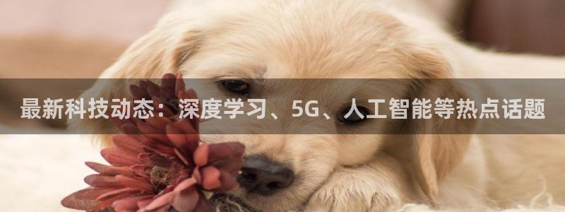 最新科技动态：深度学习、5G、人工智能等热点话题