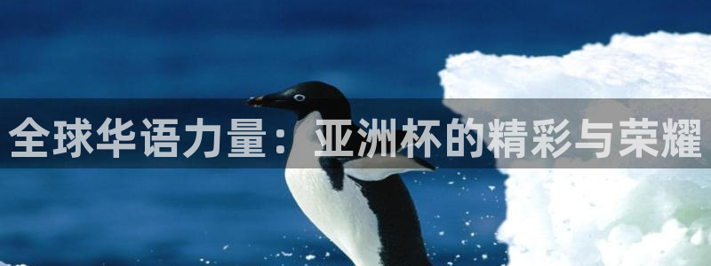 全球华语力量：亚洲杯的精彩与荣耀