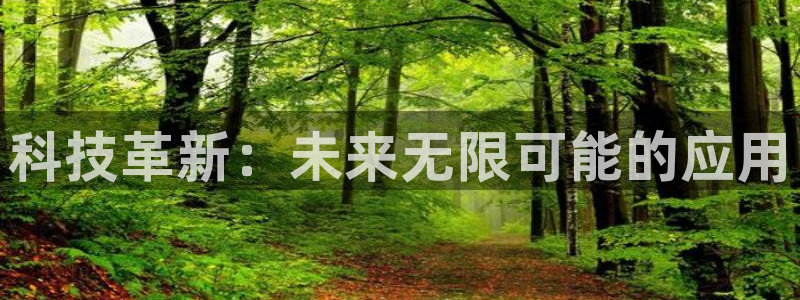 科技革新：未来无限可能的应用