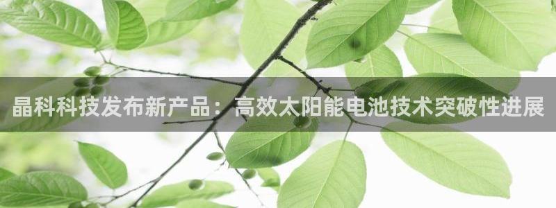 晶科科技发布新产品：高效太阳能电池技术突破性进展