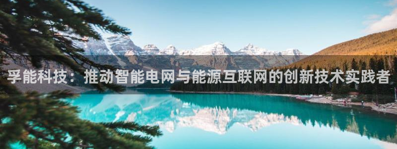孚能科技：推动智能电网与能源互联网的创新技术实践者