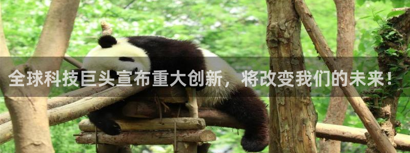 全球科技巨头宣布重大创新，将改变我们的未来！