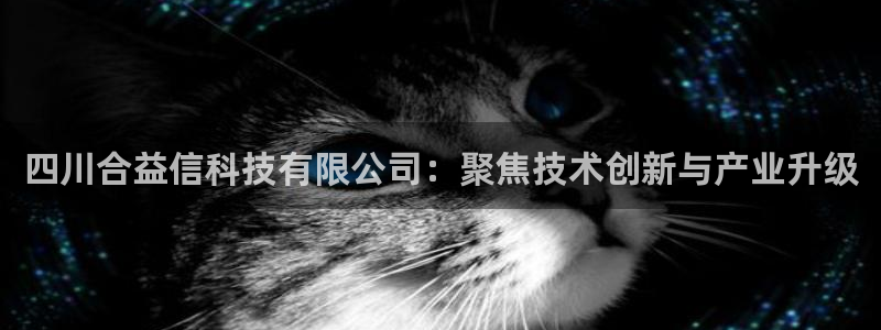 四川合益信科技有限公司：聚焦技术创新与产业升级