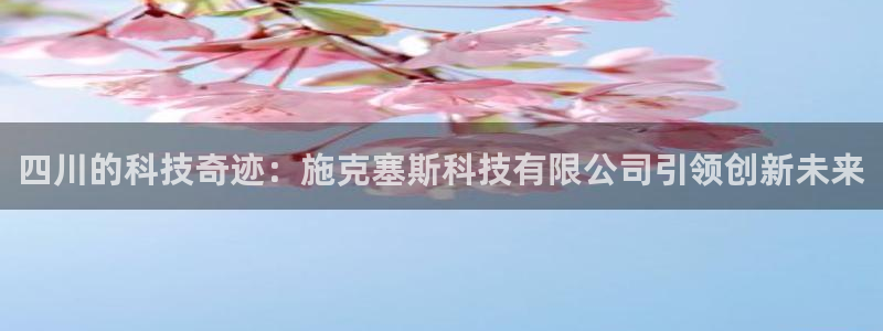 四川的科技奇迹：施克塞斯科技有限公司引领创新未来