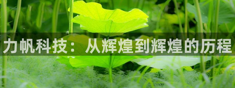 力帆科技：从辉煌到辉煌的历程