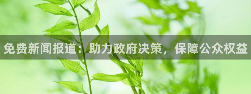 免费新闻报道：助力政府决策，保障公众权益