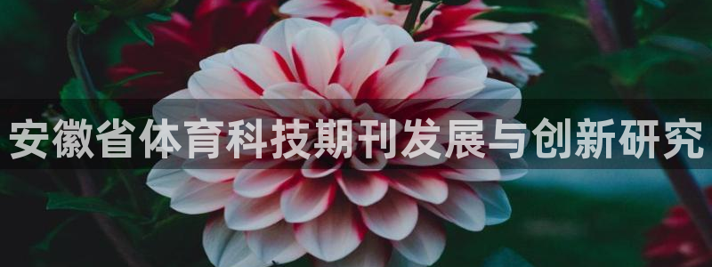 安徽省体育科技期刊发展与创新研究