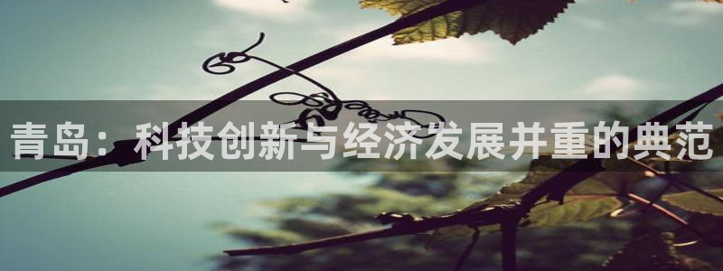 青岛：科技创新与经济发展并重的典范