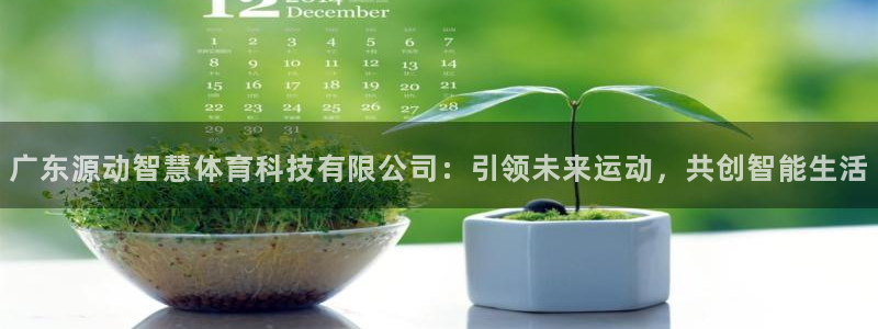 广东源动智慧体育科技有限公司：引领未来运动，共创智能生活