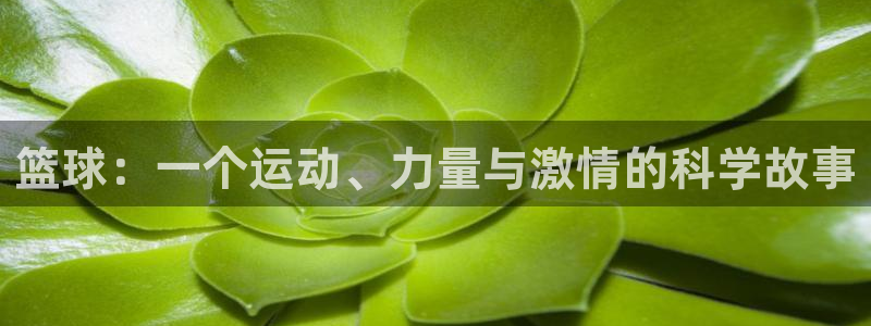 篮球：一个运动、力量与激情的科学故事