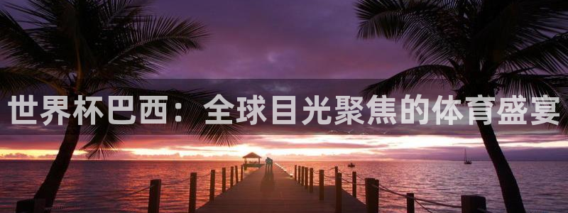 世界杯巴西：全球目光聚焦的体育盛宴